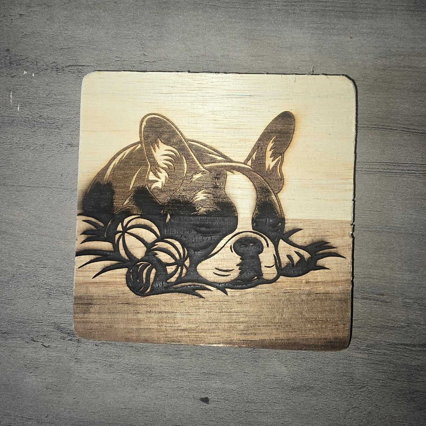 Boston Terrier Coasters